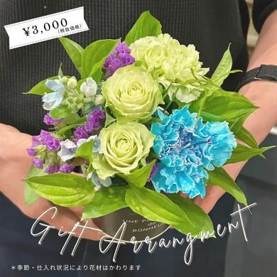胡蝶蘭画像
