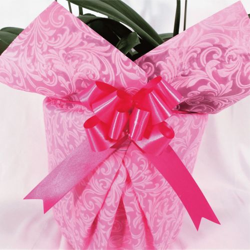 シンプル/柄ピンク