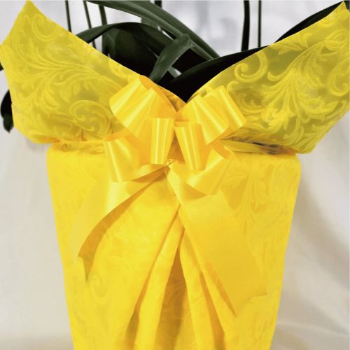 シンプル/柄イエロー