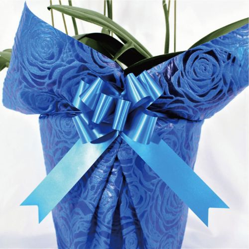 シンプル/柄ブルー