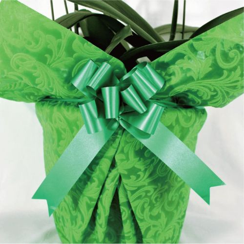 シンプル/柄グリーン