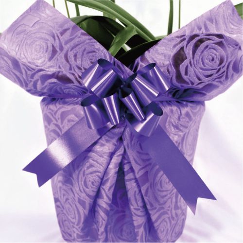 シンプル/柄パープル