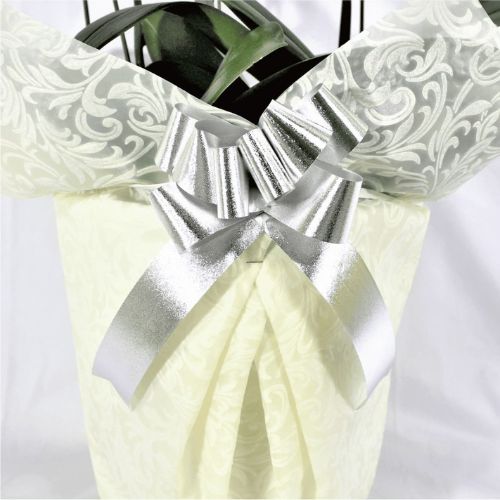 シンプル/柄ホワイト・シルバーリボン