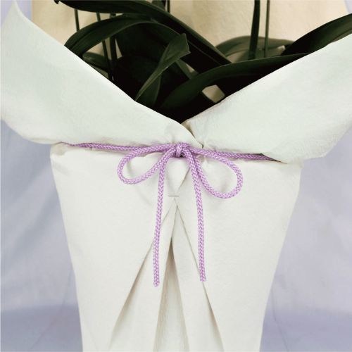 シンプル/和紙ホワイト・ひも