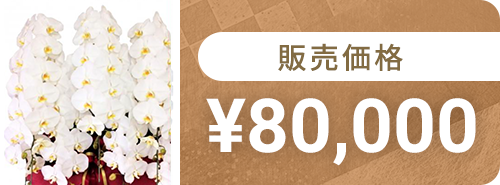 80,000円