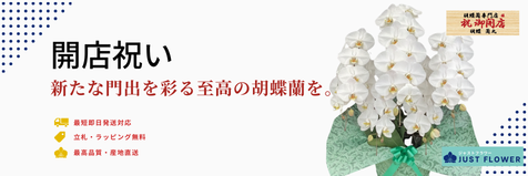開店祝いの胡蝶蘭