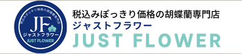 胡蝶蘭専門オンラインショップジャストフラワー
