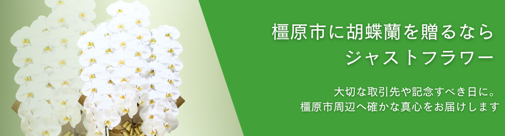 橿原市に胡蝶蘭を贈るなら｜橿原文化会館の公演・大和八木やイオンモールの開店祝い・橿原神宮への奉納まで即日配送