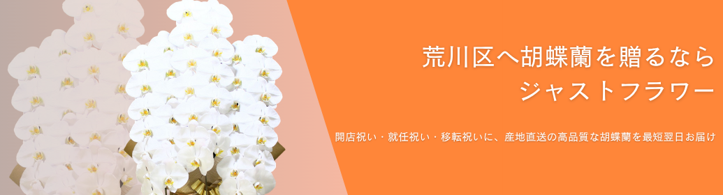荒川区で胡蝶蘭を贈るなら「胡蝶蘭ジャストフラワー」