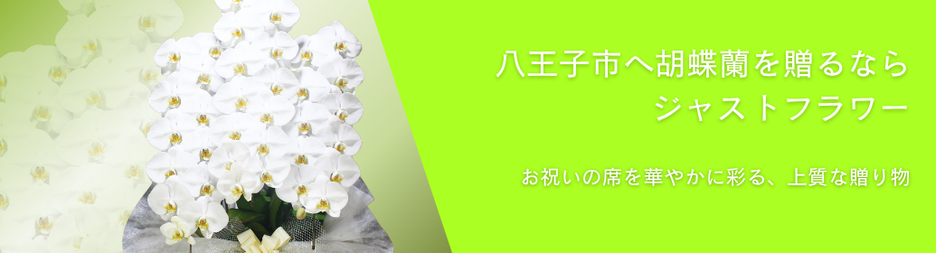 八王子市内でビジネスの開店祝いやオフィス移転、各種式典で贈る胡蝶蘭をお探しですか？