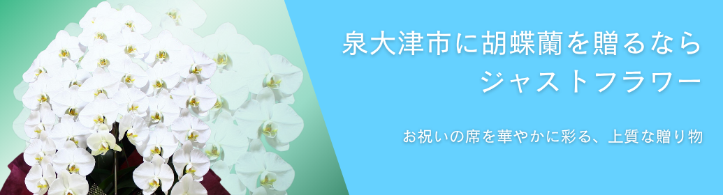 泉大津市内で贈る胡蝶蘭