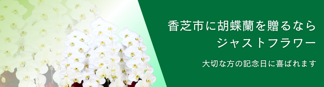 香芝市で胡蝶蘭を贈るならジャストフラワー｜開店祝い・ビジネス・当日配送対応