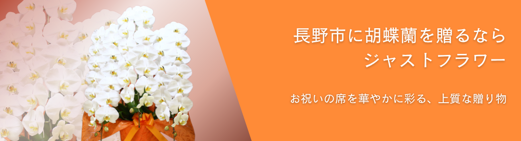 長野市内でビジネスの開店祝いやオフィス移転、各種式典で贈る胡蝶蘭をお探しですか？