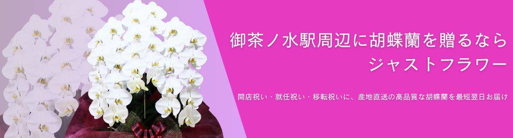 御茶ノ水駅周辺へ贈る胡蝶蘭｜開店・就任祝い・式典に届く高品質なお祝い花