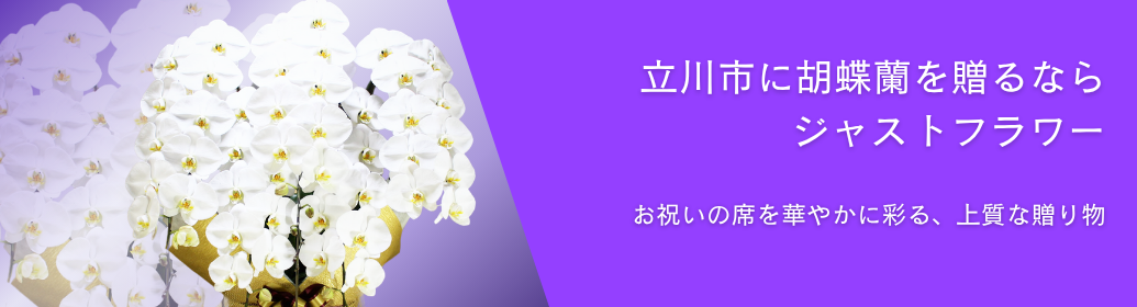 立川市で胡蝶蘭を贈るならジャストフラワー｜開店祝い・ビジネス・当日配送対応
