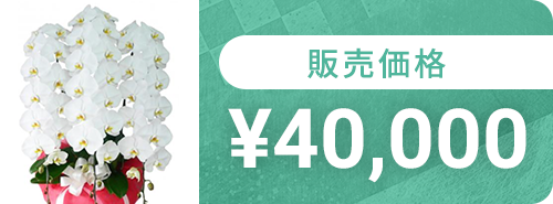 40000円